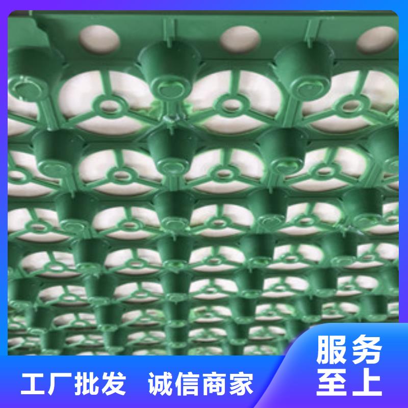 土工膜厂家视频-合肥|铜陵|亳州|池州土工膜厂家源头厂家量大价优-富泰土工材料(巢湖市分公司)