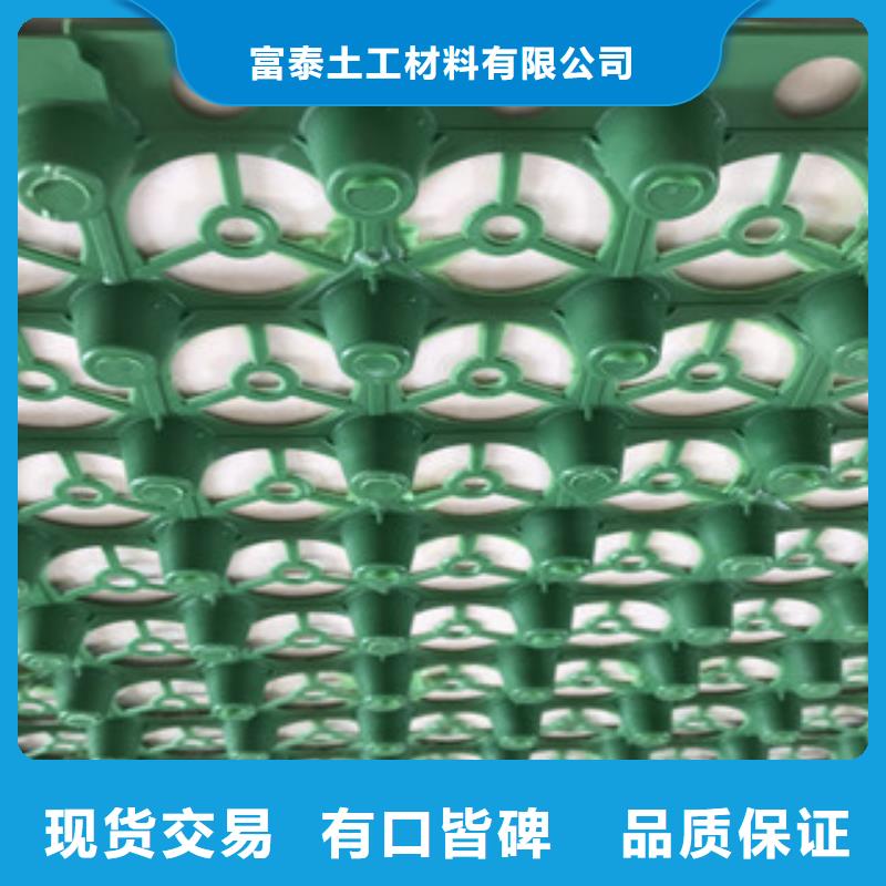 蓄排水板土工布厂家常年出售