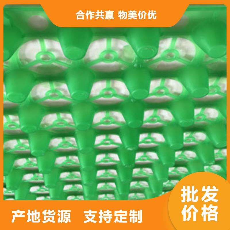 蓄排水板_膨润土防水毯厂家客户信赖的厂家