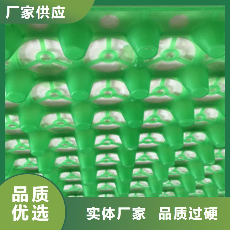 蓄排水板土工布厂家常年出售