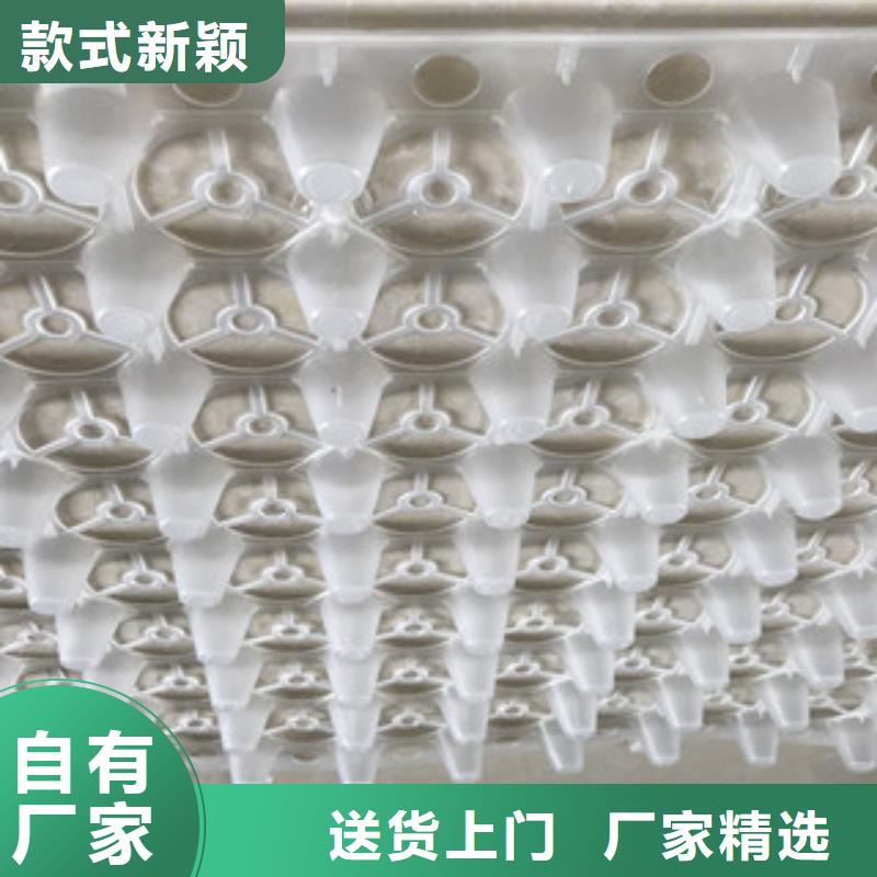 蓄排水板土工布厂家常年出售
