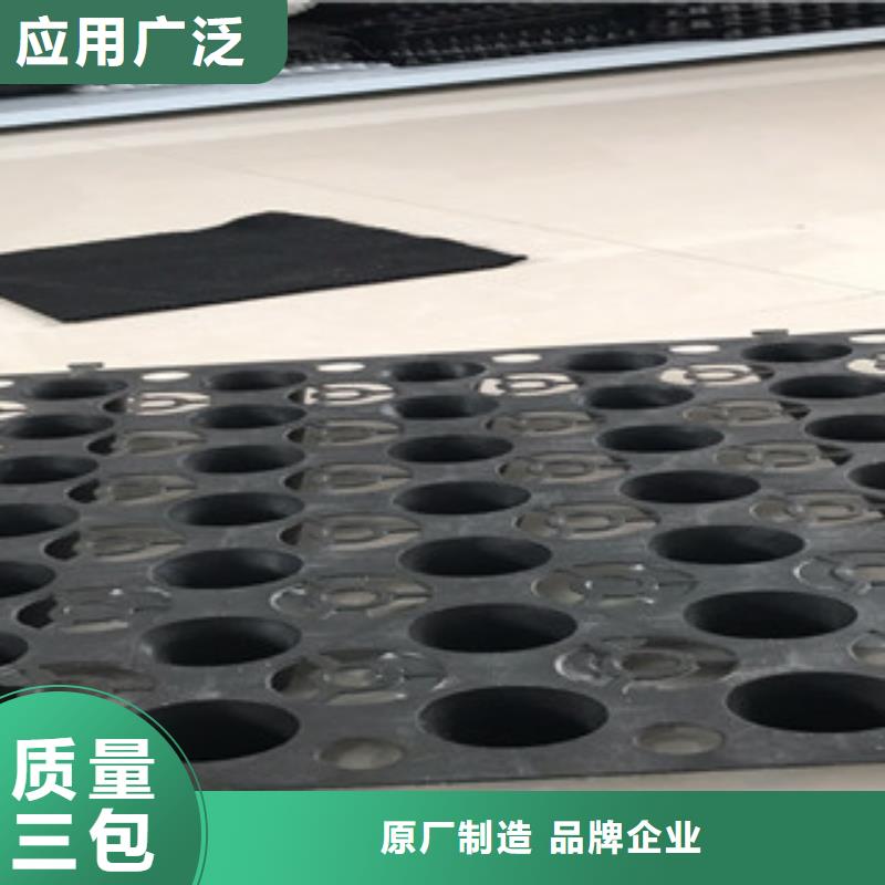 蓄排水板土工布厂家常年出售