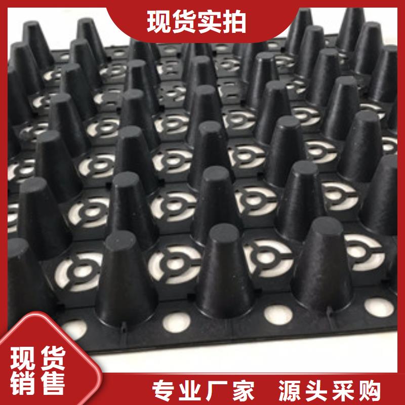 蓄排水板土工布厂家常年出售