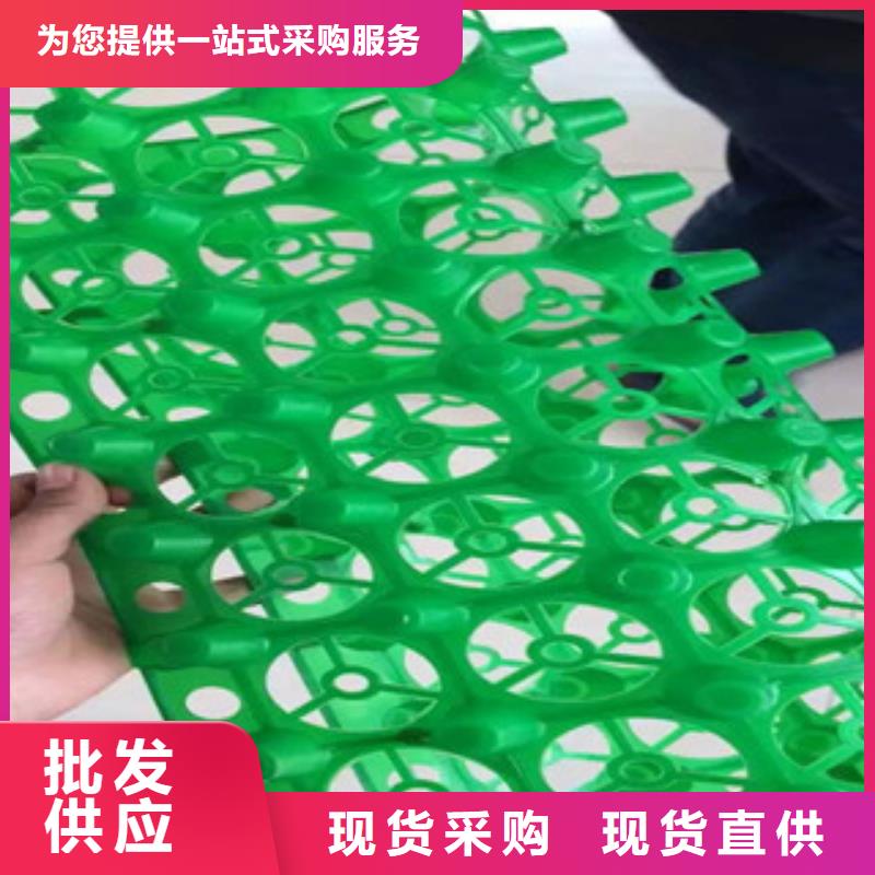 蓄排水板_膨润土防水毯厂家客户信赖的厂家
