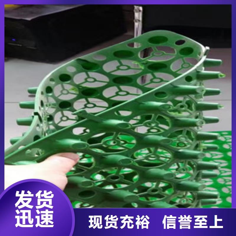 蓄排水板土工布厂家常年出售