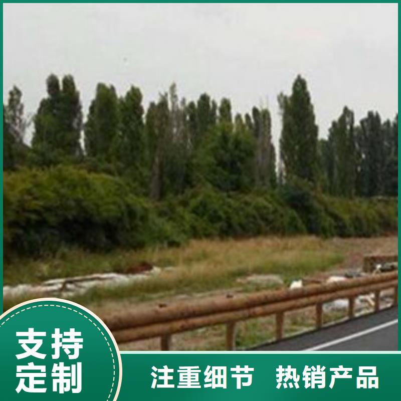 钢背木护栏桥梁灯光护栏厂家拥有先进的设备