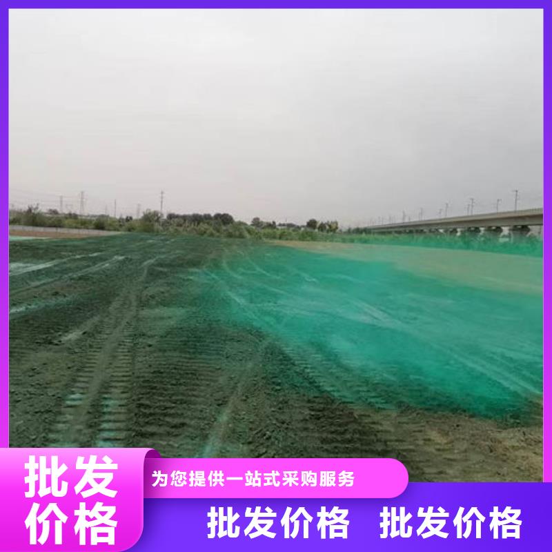 大气污染治理抑尘剂