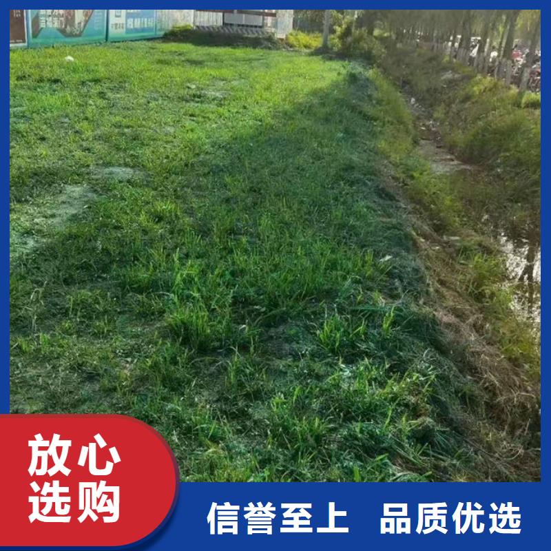 道路保湿抑尘剂