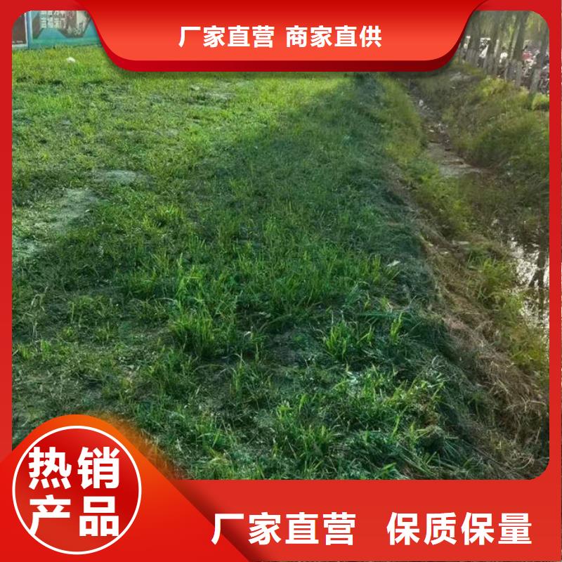 环保抑尘剂厂家直营