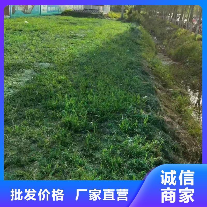 道路保湿抑尘剂