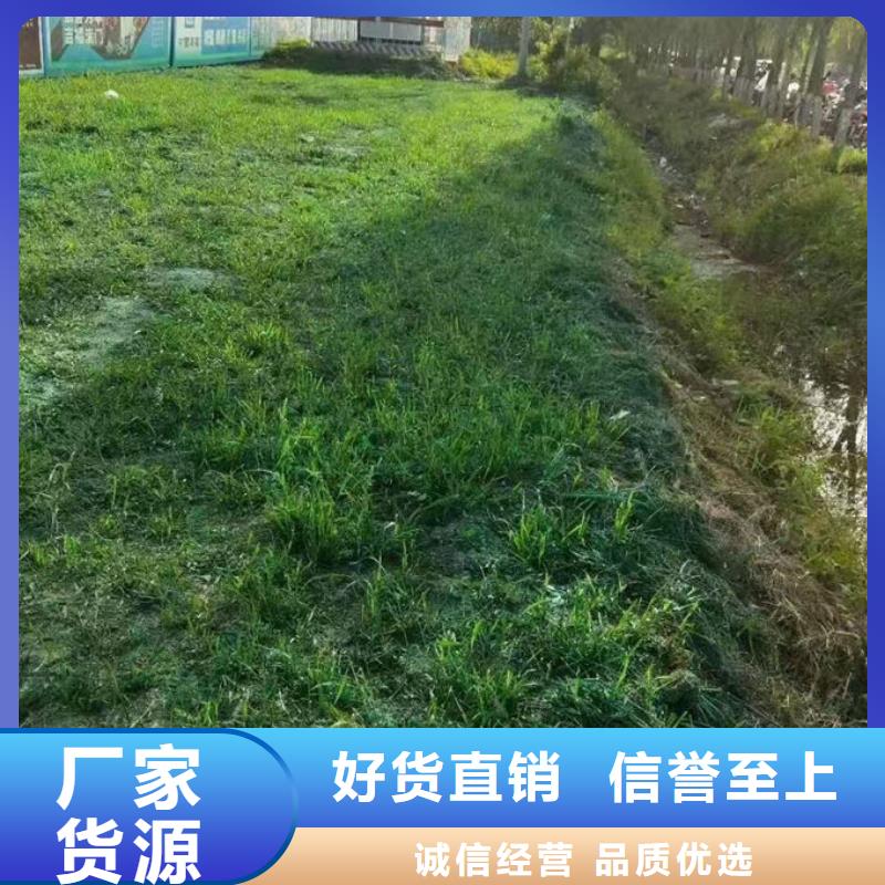 绿色结壳抑尘剂源头厂家