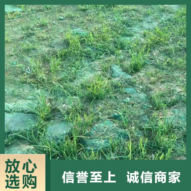 大气污染治理抑尘剂
