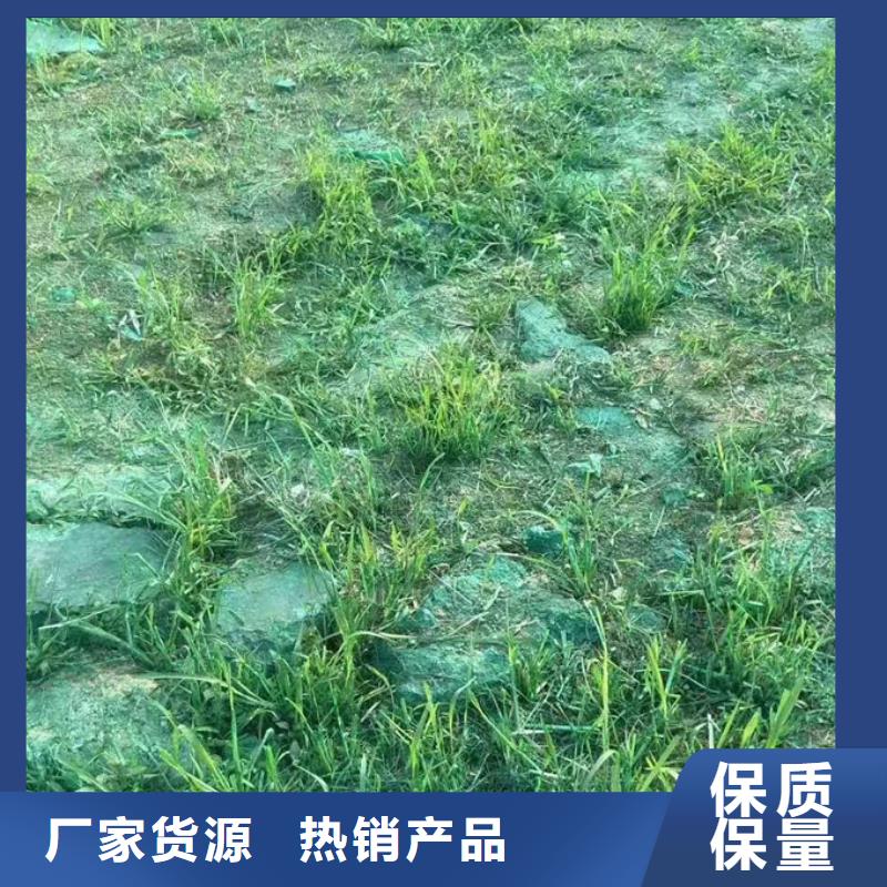 抑尘剂色素诚信为本