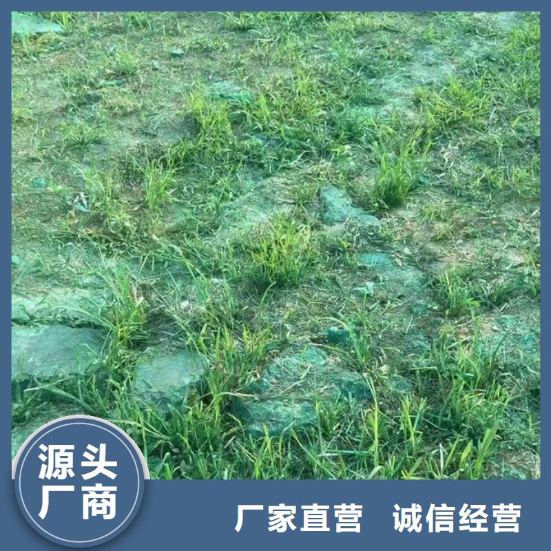 绿色结壳抑尘剂厂家直营