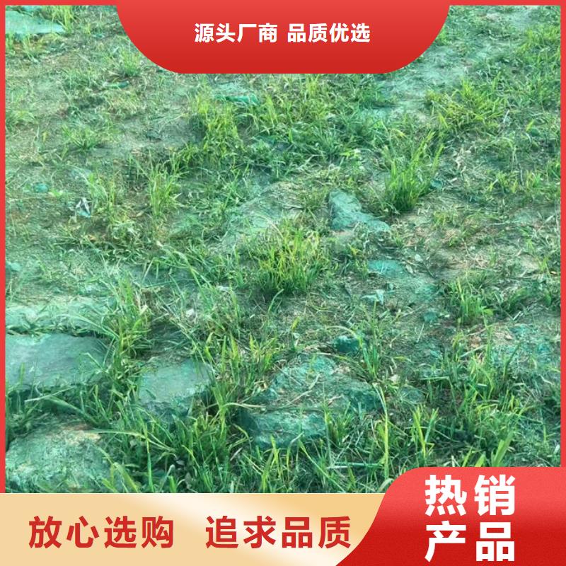 抑尘剂色素源头厂家