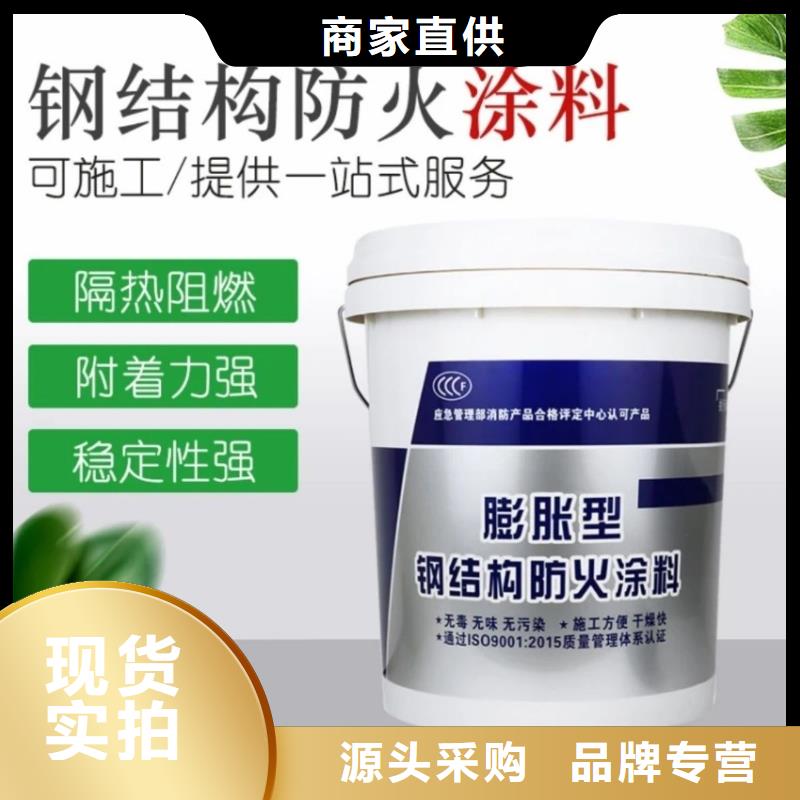 阻燃专业涂料批发
