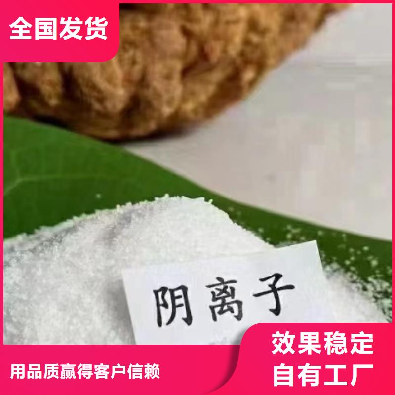PAM阴离子配送标准工艺