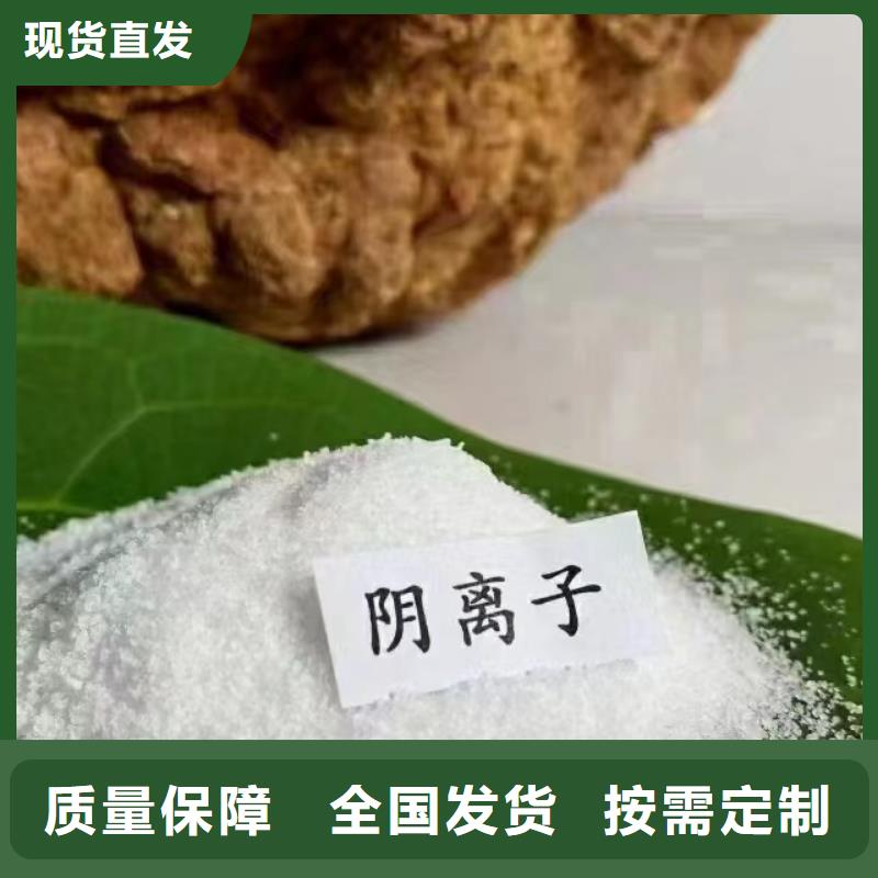 PAM阴离子货真价实厂家新品