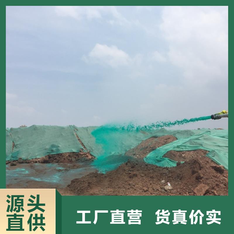 结壳抑尘剂厂家
