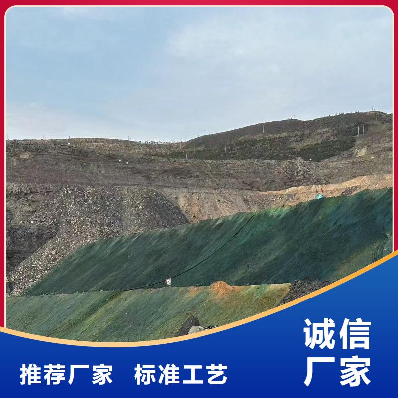 臭氧治理溶液pm2.5道路治理溶液