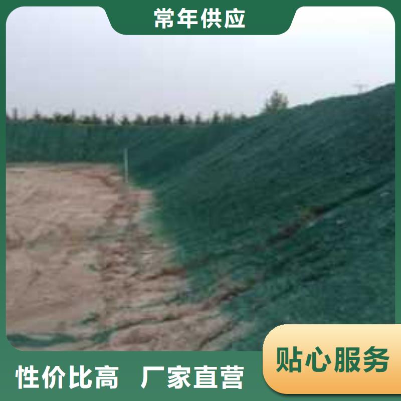 绿色浆全国专线直发