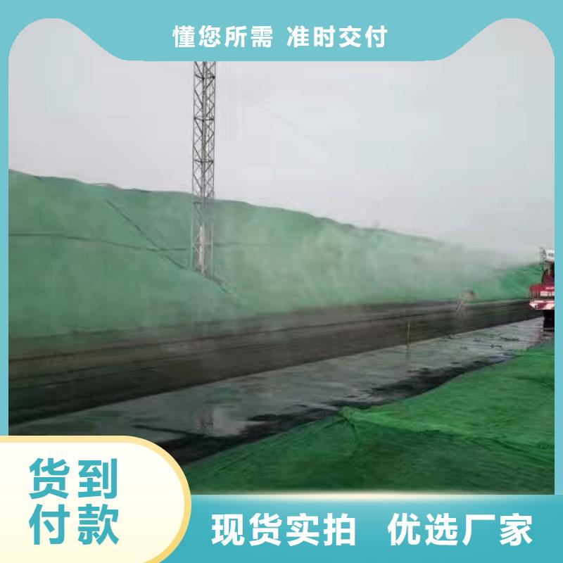 铁路抑尘剂实力厂家