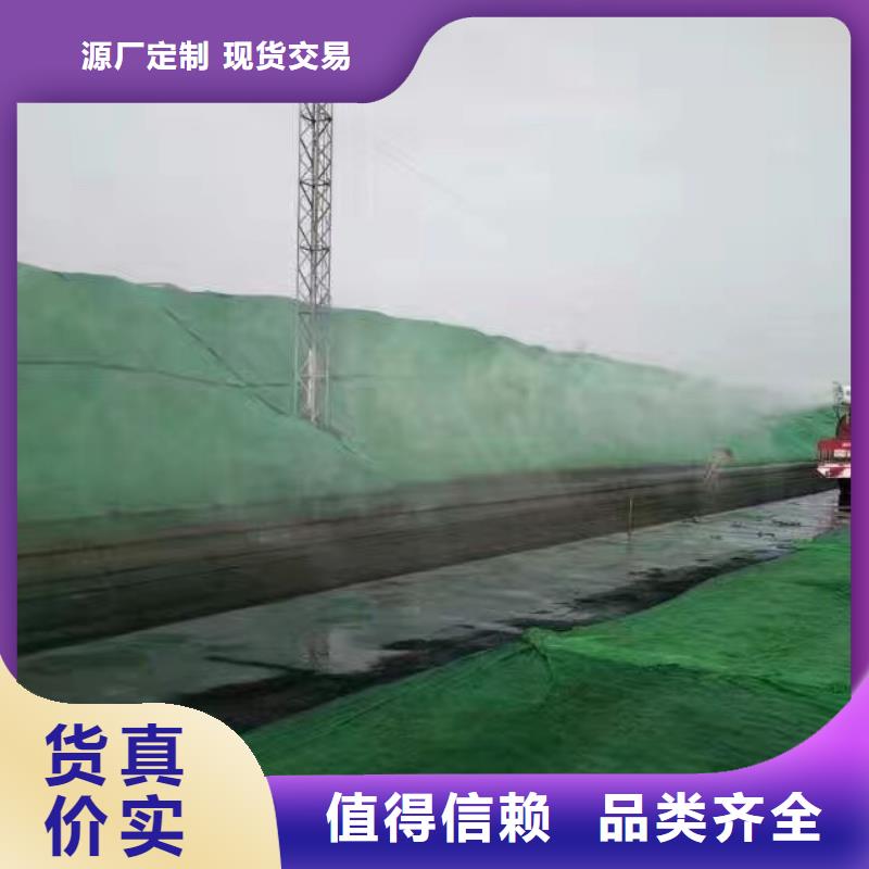 煤炭抑尘胶实力工厂煤炭抑尘胶
